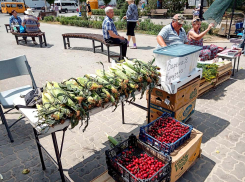 Камышанам устроили кукурузный бум