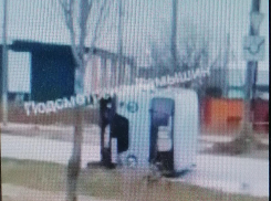 В Камышине на улице Металлургов автомобиль из-за ДТП лег на бок (ВИДЕО)