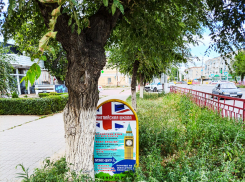 В Камышине в центре города рекламные аншлаги тонут в вымахавших сорняках