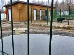 В Камышине  сегодня, 7 декабря, будет морозно и солнечно, но впереди новое потепление