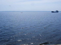 В РусГидро обещают, что Волга, в том числе у Камышина, больше мелеть не будет