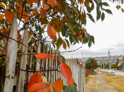 Сегодня, 12 октября, сообщения о беспилотной опасности пришли камышанам на телефоны утром