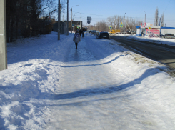 Мэру, прокурору, депутатам Камышина: кто из вас найдет управу на директора учреждения «Благоустройство»?