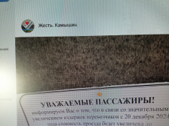 В Камышине обленившиеся паблики и СМИ без толку перепугали горожан «вбросом» о предновогоднем массовом подорожании проезда в маршрутках