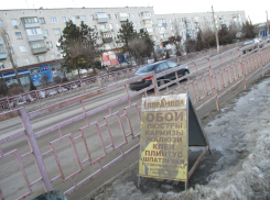 «Вроде рекламный щит, а глаза бы не смотрели!» - камышанка