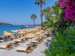 Турция из Волгограда откроется для камышан в мае