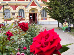 Летние температуры и магнитный шторм: погода в Камышине 11 сентября