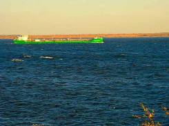 В Камышине на Волге в 6-м микрорайоне рыбаки выловили тело утопленницы