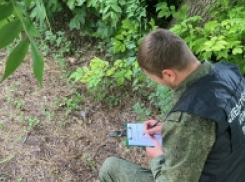 У соседей камышан по берегам Волги, в Николаевске, житель устроил туалетный «взрыв» с карбидом кальция и погиб