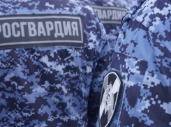 В Камышине росгвардейцы задержали алиментщика, объявленного в федеральный розыск