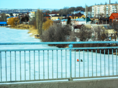 В Камышине, несмотря на опасные промоины на замерзшей реке, ее всю «изрешетили» ледобурами рыбаки (ВИДЕО)