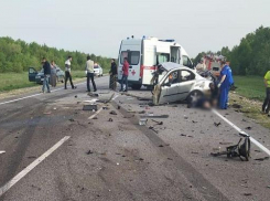 Два трупа в ДТП на московской трассе 16 мая: иномарку молодого водителя разорвало «в хлам»