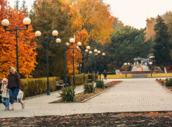 В Волгограде на праздник гостей кормят бесплатной ухой, а в Камышине «кормят» концертом