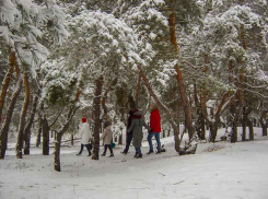 К Камышину приближаются новые снегопады