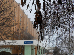 «Ноль», снегодождь и геомагнитный шторм: погода в Камышине 9 января