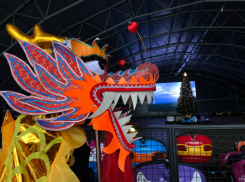 Интерес к гороскопам и предсказаниям резко вырос в Волгоградской области