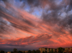Труп женщины, найденный вчера в камышинской многоэтажке, оказался криминальным