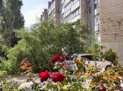 Плата за капремонт повысится для камышан с 1 января