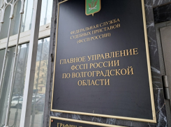 Заместитель главного судебного пристава Волгоградской области проведет личный прием граждан в Камышине