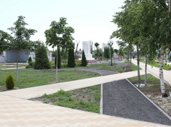 В администрации региона показали, что для строительства парка на средства гранта не обязательно зачищать под ним деревья «под ноль», как в Камышине