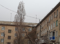 Ураган и заморозки: в Волгоградской области объявили штормовое предупреждение