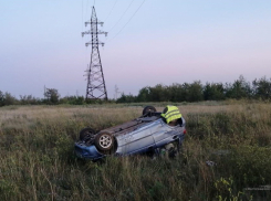 Улетел в кювет, получил шок, скончался - суточная сводка регионального УГИБДД вновь заставляет содрогнуться
