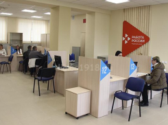 Центр занятости Камышина доложил горожанам, что у него вакансий в четыре раза больше, чем безработных