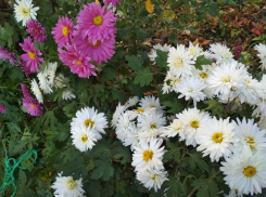 Октябрь продолжит баловать камышан солнцем и теплом