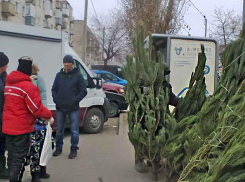 Администрация Камышина, наконец, сообщила горожанам, когда и где откроются елочные базары