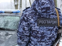 Росгвардейцы «приняли» в Камышине фигуранта, промышлявшего кражей в доме пенсионерки