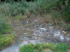 Тело мертвого крошечного ребенка обнаружено в заброшенном парке