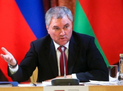 Спикер Государственной думы завтра прилетит в Волгоград, - «Блокнот Волгограда»