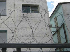 Как региональные СМИ развивают тему «Блокнота Камышина» о закрытии ИК-5 в Камышине