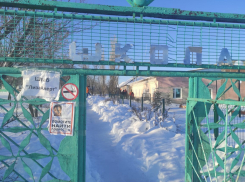 В Камышинском районе в селе, где пропала Айлита Ли, 26 января продолжили работать следователи, криминалисты, полиция и военные