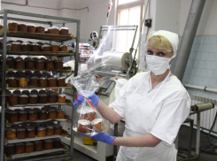 В Камышине будут банкротить хлебокомбинат, 100 процентов акций которого принадлежит администрации города