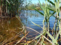 За утонувшего в лагере в Камышинском районе школьника под суд отправили вожатого