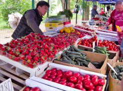 Огурцы подешевели, но другие витаминные товары  прибавили в цене в Волгоградской области