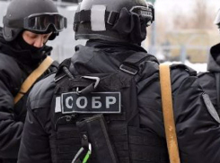 Росгвардию привлекли ловить «безмасочников» в Волгоградской области