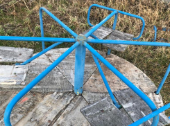 В «очередь» к эксперту штаба ОНФ Светлане Калининой, объявившей о своем визите в Камышин, «записались» и активисты Камышинского района 