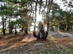 Синоптики отменили мокрый снег в Камышине 30 ноября и объявили погоду в последний день осени пригодной для прогулок (ВИДЕО)