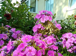 Солнце сделает воскресенье 13 сентября замечательным днем