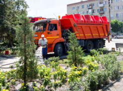 В Камышине водовозки выехали на спасение оставшихся клумб от сумасшедшего зноя
