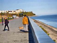 В Волгоградской области стали известны свежие данные о радиационном фоне