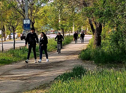 В Камышине в суд ушло несколько десятков «административок» на нарушителей режима самоизоляции