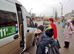 Камышане пополнили областной список «ковидников»  25-ю новыми больными 25 ноября