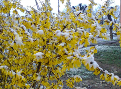 Для кого год Дракона окажется судьбоносным: прогноз от волгоградского астролога