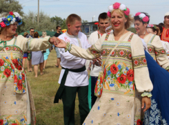 Администрация Камышинского района официально сообщила об отмене гуляний на Ромашковой поляне