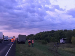 Три человека скончались на месте столкновения иномарки с автобусом сегодня утром на московской трассе