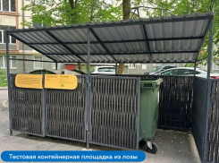 В Камышине скоро оборудуют контейнерные площадки для раздельного накопления отходов, разработанные по типовому проекту