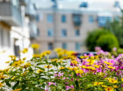 В Волгоградской области начнут опускаться туманы из-за перепада температур